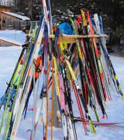  Cross Country Skis